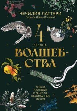 4 сезони чарівництва. Таємні послання і рецепти, нашептані лісом 214464269133 фото