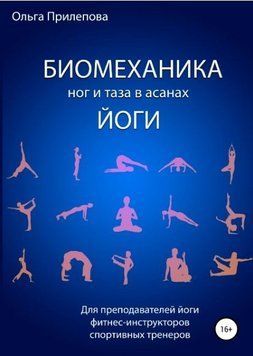 Биомеханика ног и таза в асанах йоги 319721 фото