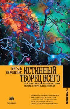 Истинный творец всего. Как человеческий мозг сформировал вселенную в том виде, в котором мы ее воспринимаем 62631 фото
