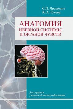 Анатомія нервової системи та органів чуття 48895266 фото