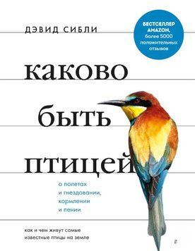 Каково быть птицей: о полетах и гнездовании, кормлении и пении. Как и чем живут самые известные птицы на земле 2065111 фото