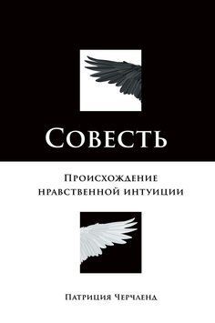 Совесть. Происхождение нравственной интуиции 1480611 фото