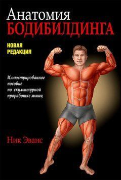 Анатомия бодибилдинга 42965095 фото