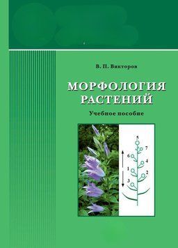 Морфология растений 28262638 фото