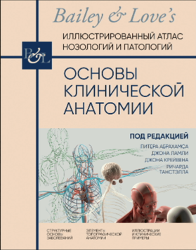Основы клинической анатомии. Иллюстрированный атлас нозологий и патологий 2103011 фото