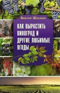 Как вырастить виноград и другие любимые ягоды. Простые и понятные инструкции для начинающих 2042 фото