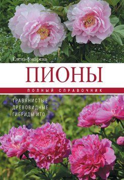 Пионы: травянистые, древовидные, гибриды Ито 1530711 фото