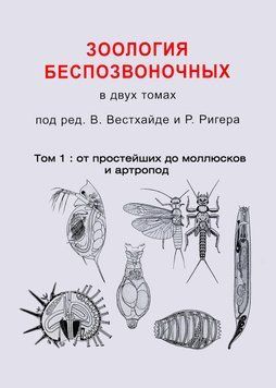 Зоология беспозвоночных. Том 1. От простейших до моллюсков и артропод 51253932 фото