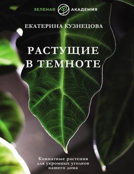 Растущие в темноте. Комнатные растения для укромных уголков вашего дома 1463111 фото