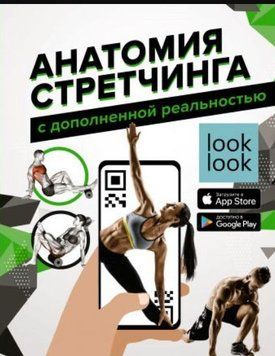 Анатомия стретчинга с дополненной реальностью 462 фото