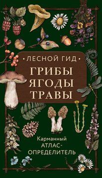 Лесной гид: грибы, ягоды, травы. Карманный атлас-определитель 1608211 фото