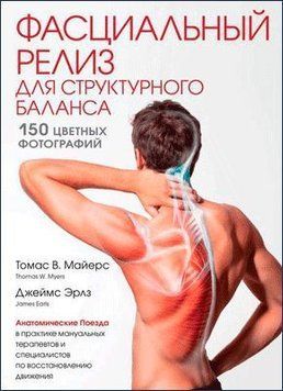 Фасциальный релиз для структурного баланса 275110 фото