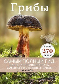 Грибы 339321 фото