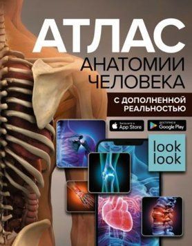 Атлас анатомии человека с дополненной реальностью 622 фото