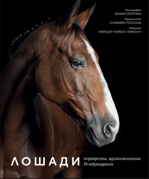 Коні. Портрети, що надихнули Рембрандта 2284724 фото