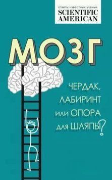 Мозок: горище, лабіринт чи опора для капелюха? 214464268339 фото