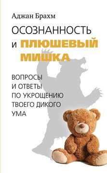 Усвідомленість і плюшевий ведмедик. Запитання і відповіді щодо приборкання твого дикого розуму 1749911 фото