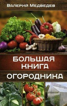 Велика книга городника 7821 фото