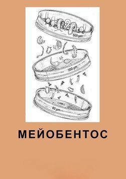 Мейобентос. Методичний посібник з польової практики 51268910 фото