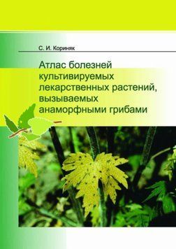 Атлас болезней культивируемых лекарственных растений, вызываемых анаморфными грибами 7060776 фото