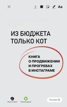 З бюджету тільки кіт. Книга про просування і прогрівання в інстаграмі 250521 фото