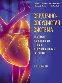 Серцево-судинна система. Анатомія та фізіологія у спокої та під час фізичних навантажень 5131 фото