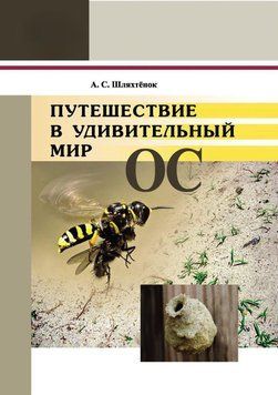 Путешествие в удивительный мир ос 21300420 фото