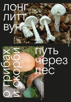 Путь через лес. О грибах и скорби 2091311 фото