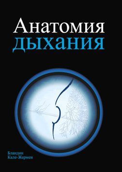 Анатомия дыхания 2031211 фото