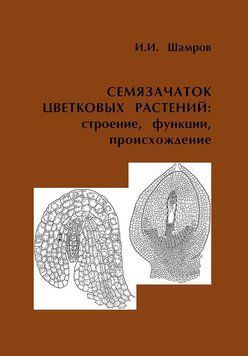 Семязачаток цветковых растений: строение, функции, происхождение 30484454 фото