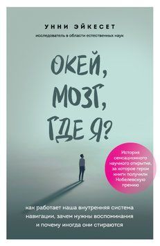 Окей, мозг, где я? Как работает наша внутренняя система навигации, зачем нужны воспоминания и почему иногда они стираются 1613611 фото