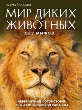 Світ диких тварин без міфів. Неймовірні фотоісторії про життя хижаків савани 1638711 фото