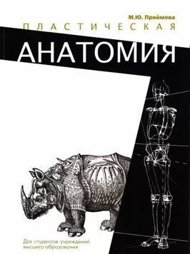 Пластична анатомія 412421 фото