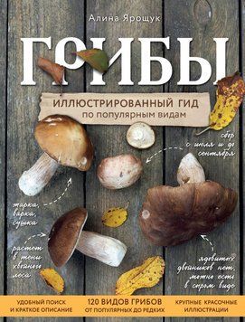 Грибы: иллюстрированный гид по популярным видам 1592311 фото