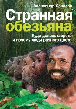 Странная обезьяна. Куда делась шерсть и почему люди разного цвета 1471211 фото