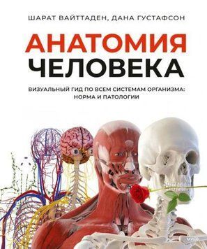 Анатомия человека. Визуальный гид по всем системам организма: норма и патологии 1971411 фото