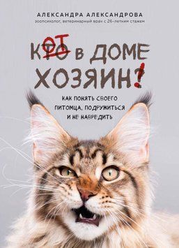Кіт у домі господар! Як зрозуміти свого улюбленця, потоваришувати і не нашкодити 2422 фото