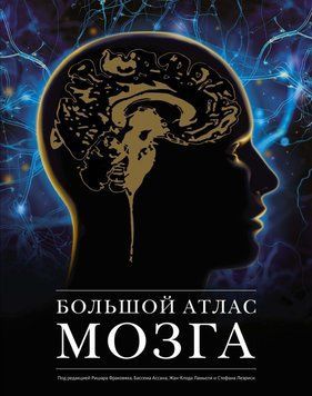 Большой атлас мозга 87231 фото