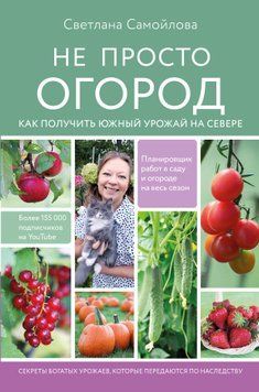 Не просто город. Як отримати південний урожай на півночі 1412811 фото