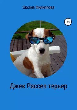 Джек Рассел тер'єр 433022 фото