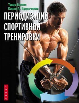 Периодизация спортивной тренировки 22964906 фото