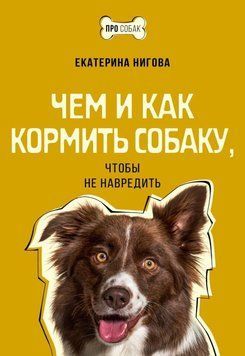 Чим і як годувати собаку, щоб не нашкодити 4131 фото