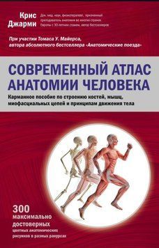 Современный атлас анатомии человека. Карманное пособие по строению костей, мышц, миофасциальных цепей и принципам движения тела 1591811 фото