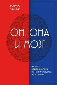 Он, она и мозг. Взгляд нейробиолога на наши сходства и различия 1415811 фото