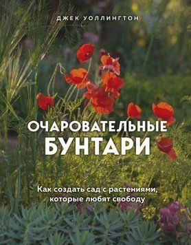 Очаровательные бунтари. Как создать сад с растениями, которые любят свободу 39421 фото