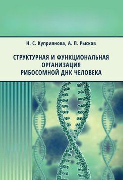 Структурна та функціональна організація рибосомної ДНК людини 40591671 фото