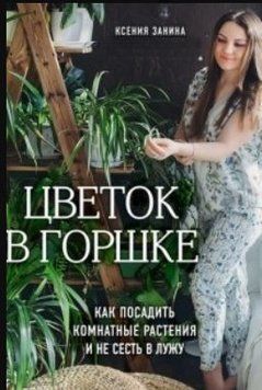 Цветок в горшке. Как посадить комнатные растения и не сесть в лужу 37114 фото