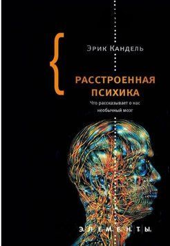 Расстроенная психика. Что рассказывает о нас необычный мозг 29454 фото