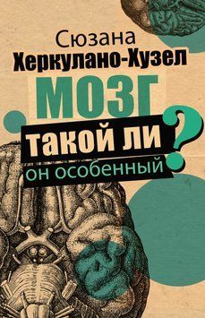 Мозг. Такой ли он особенный? 1591411 фото