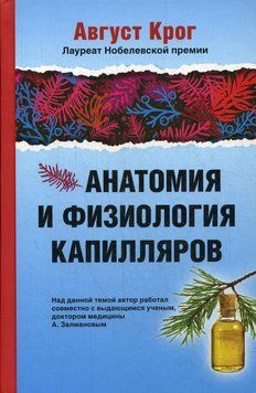 Анатомия и физиология капилляров 56875968 фото